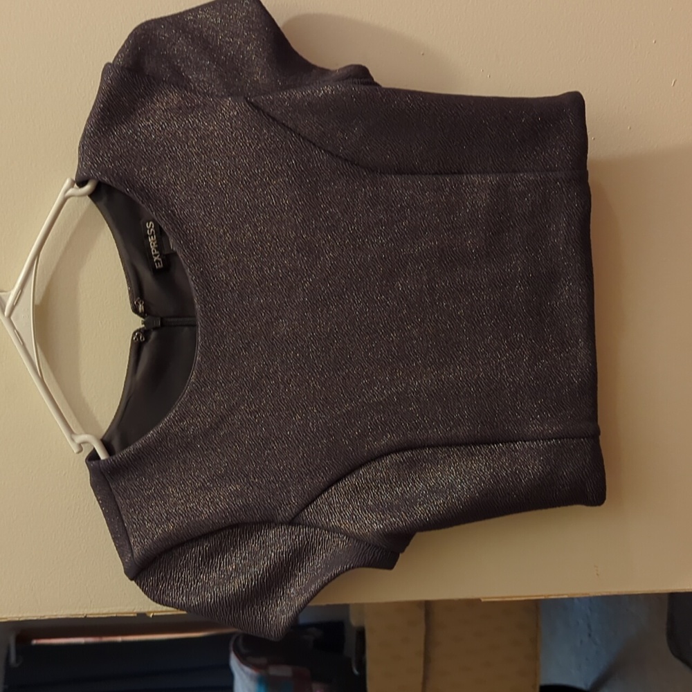 X-small Express Metallic Crop Top